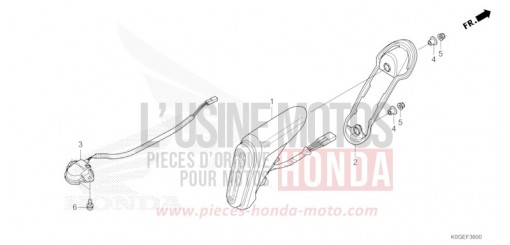 TAILLIGHT/LICENSE LIGHT C125AN de 2022